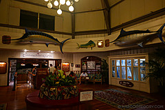 151006 Hawaii 2015 - Photo 0477