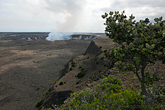 151006 Hawaii 2015 - Photo 0498