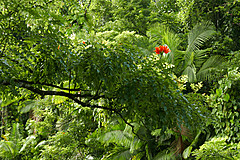 151006 Hawaii 2015 - Photo 0528