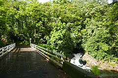 151006 Hawaii 2015 - Photo 0530