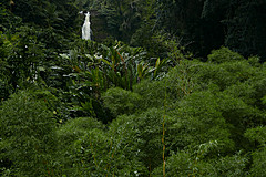 151006 Hawaii 2015 - Photo 0535