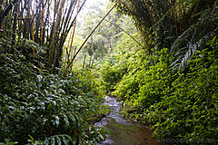 151006 Hawaii 2015 - Photo 0540