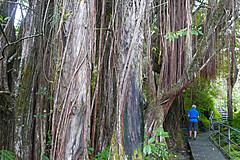 151006 Hawaii 2015 - Photo 0546