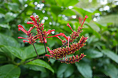 151006 Hawaii 2015 - Photo 0548