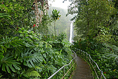 151006 Hawaii 2015 - Photo 0550