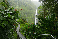 151006 Hawaii 2015 - Photo 0551