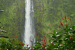 151006 Hawaii 2015 - Photo 0552