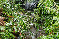151006 Hawaii 2015 - Photo 0555