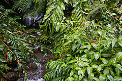 151006 Hawaii 2015 - Photo 0556