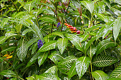 151006 Hawaii 2015 - Photo 0557