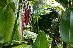 151006 Hawaii 2015 - Photo 0558