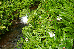 151006 Hawaii 2015 - Photo 0559