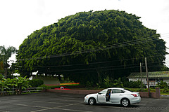 151006 Hawaii 2015 - Photo 0563