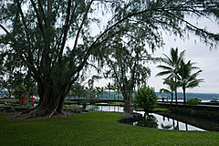 151006 Hawaii 2015 - Photo 0575