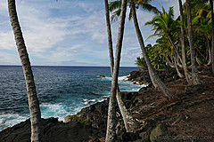 151006 Hawaii 2015 - Photo 0585
