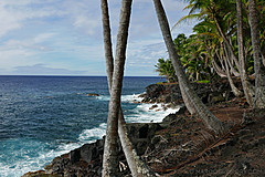 151006 Hawaii 2015 - Photo 0587
