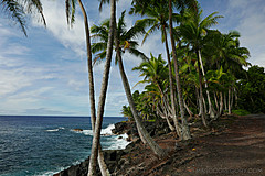 151006 Hawaii 2015 - Photo 0588