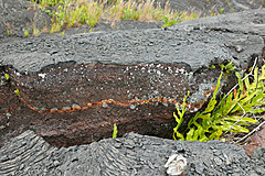 151006 Hawaii 2015 - Photo 0600
