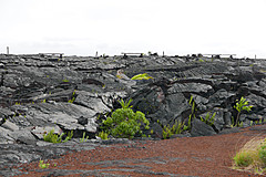 151006 Hawaii 2015 - Photo 0607