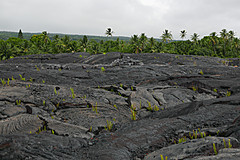 151006 Hawaii 2015 - Photo 0608