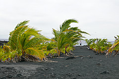 151006 Hawaii 2015 - Photo 0610