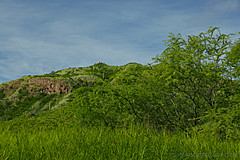 151006 Hawaii 2015 - Photo 0642