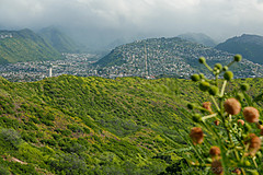 151006 Hawaii 2015 - Photo 0647