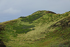 151006 Hawaii 2015 - Photo 0682