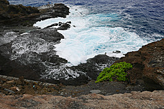 151006 Hawaii 2015 - Photo 0684
