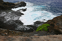 151006 Hawaii 2015 - Photo 0685