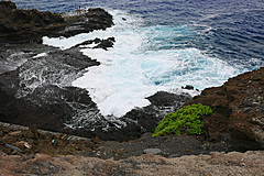 151006 Hawaii 2015 - Photo 0686