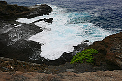 151006 Hawaii 2015 - Photo 0687
