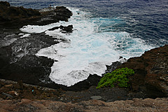151006 Hawaii 2015 - Photo 0688