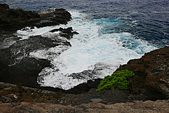 151006 Hawaii 2015 - Photo 0691