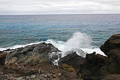 151006 Hawaii 2015 - Photo 0695