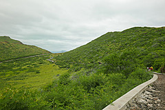 151006 Hawaii 2015 - Photo 0708