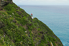 151006 Hawaii 2015 - Photo 0715