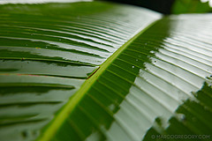 151006 Hawaii 2015 - Photo 0726