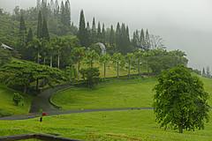 151006 Hawaii 2015 - Photo 0734