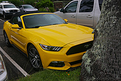 151006 Hawaii 2015 - Photo 0751