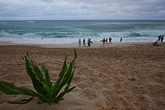 151006 Hawaii 2015 - Photo 0752