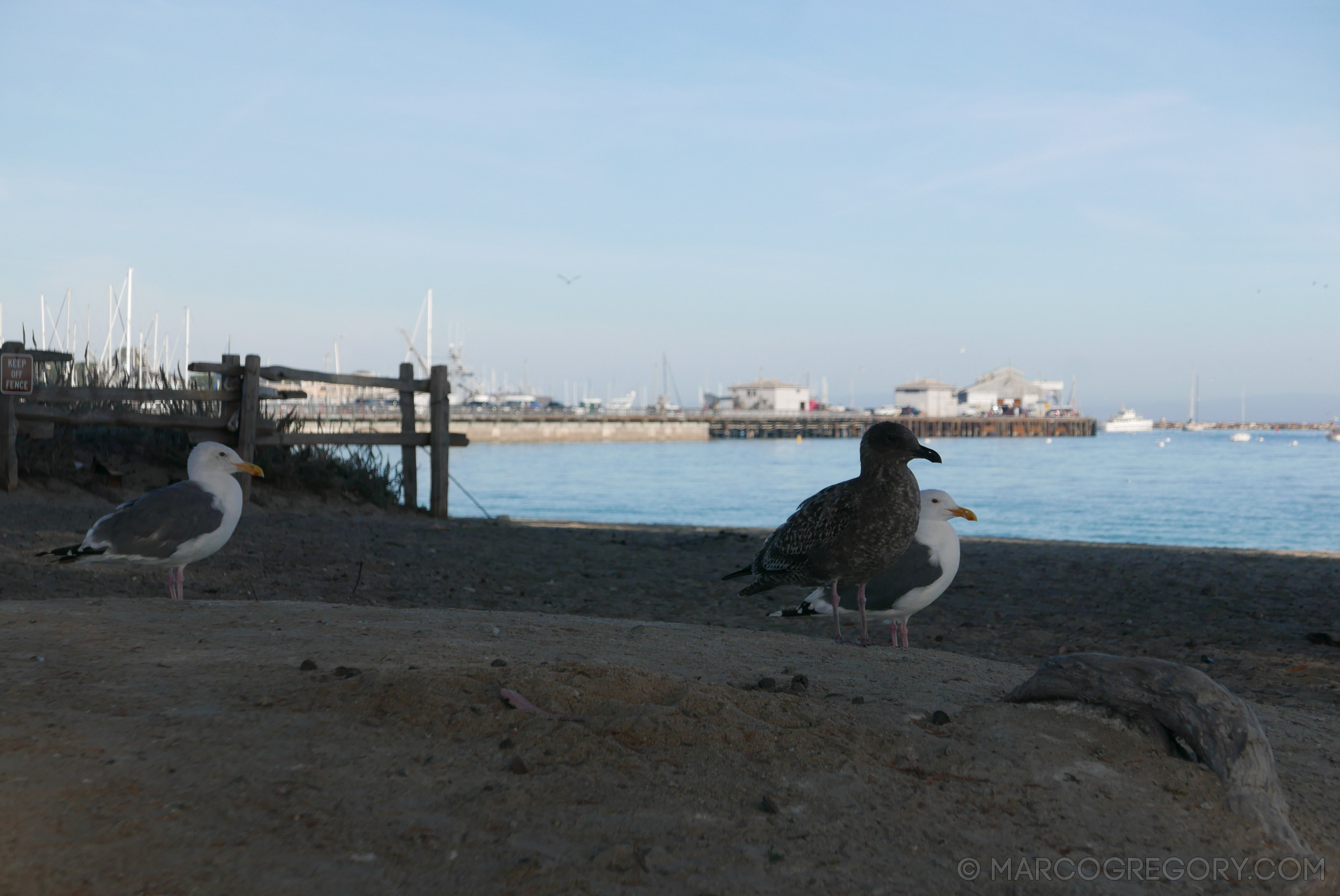 151010 USA 2015 Part 2 - Photo0085 of 255