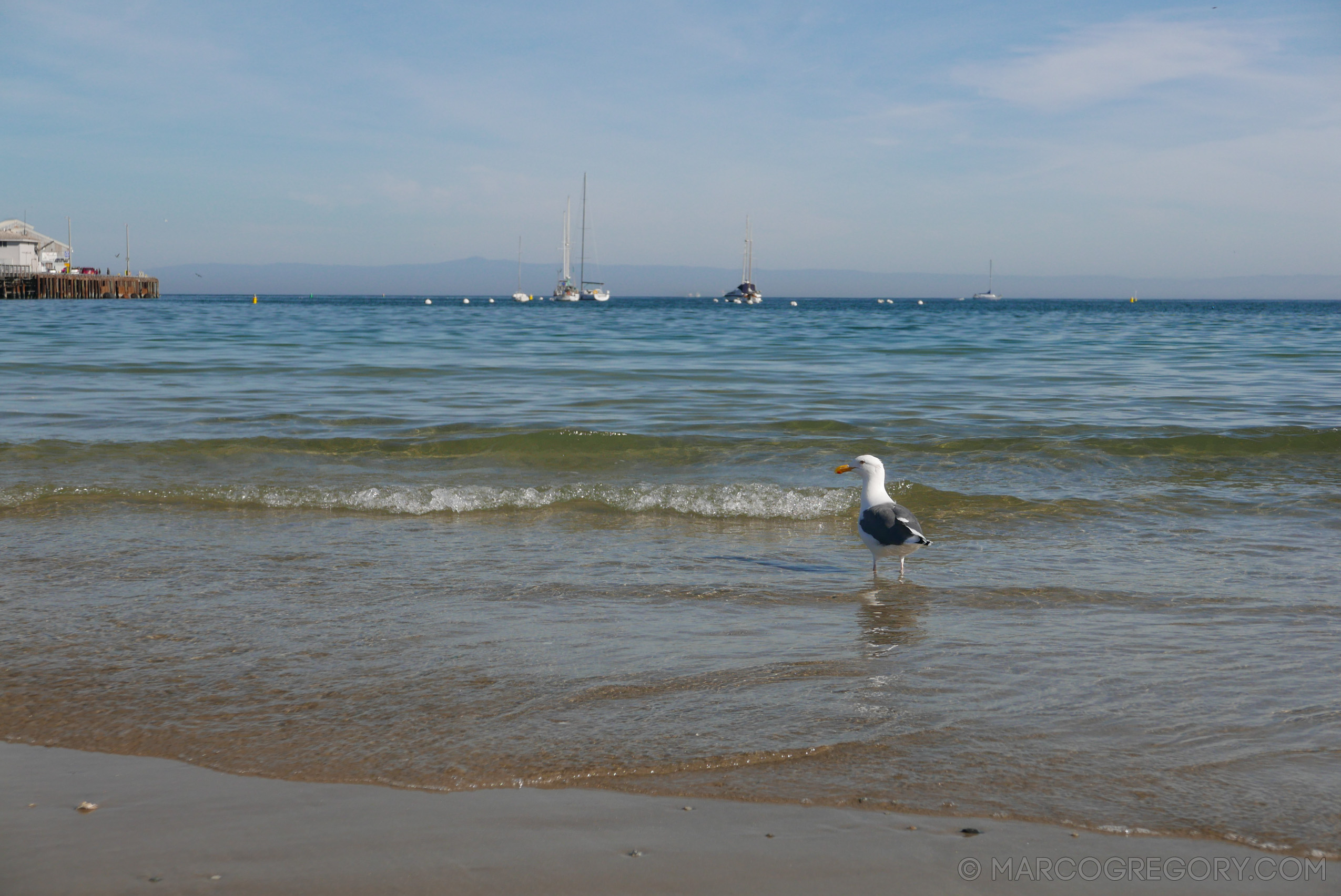 151010 USA 2015 Part 2 - Photo0093 of 255