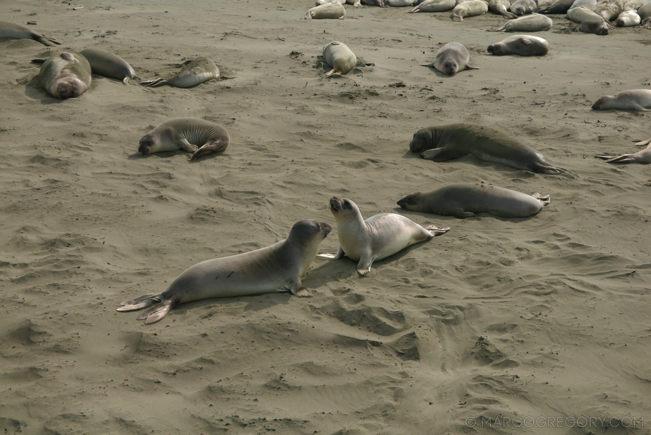 151010 USA 2015 Part 2 - Photo0147 of 255