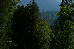 170828 Germany Castles - Photo 0036
