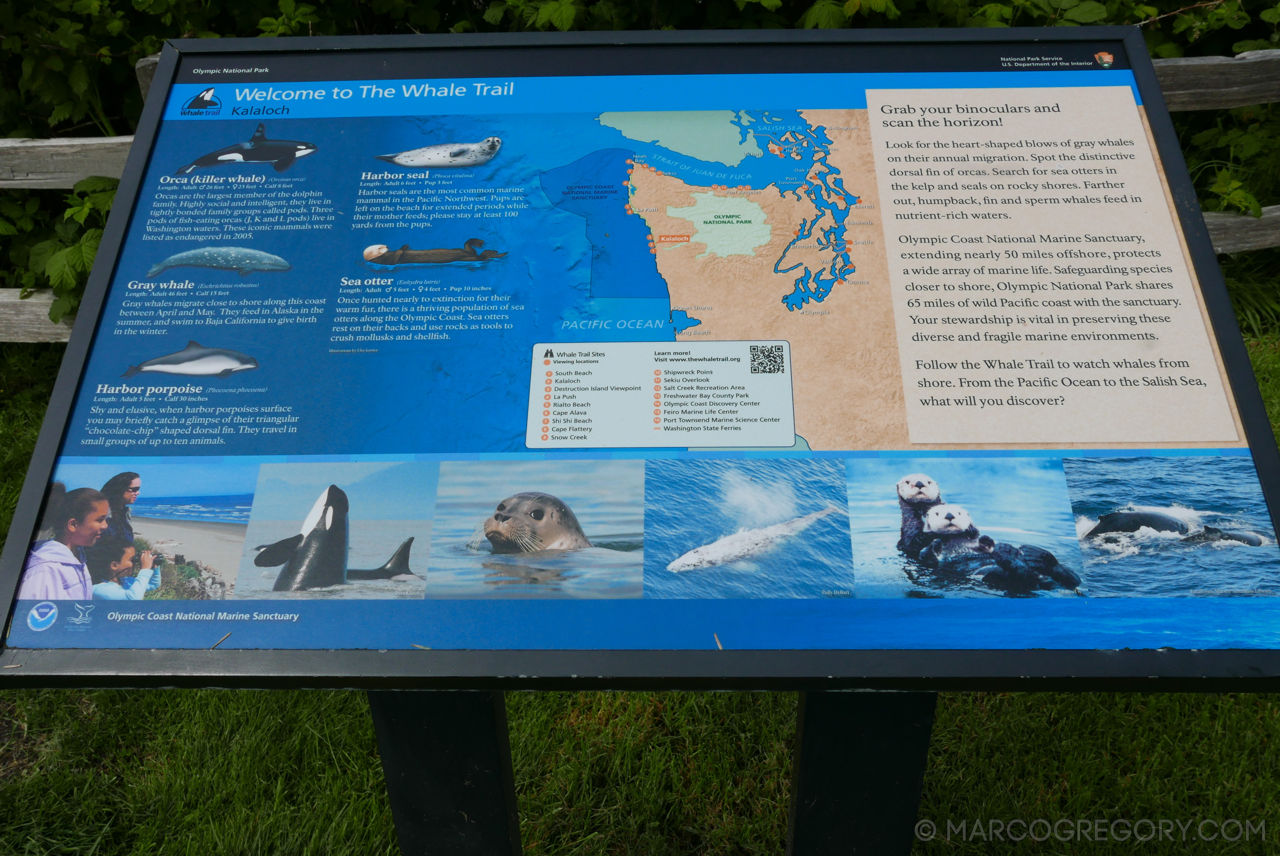 180504 USA Trip 2018 - Photo0347 of 1315