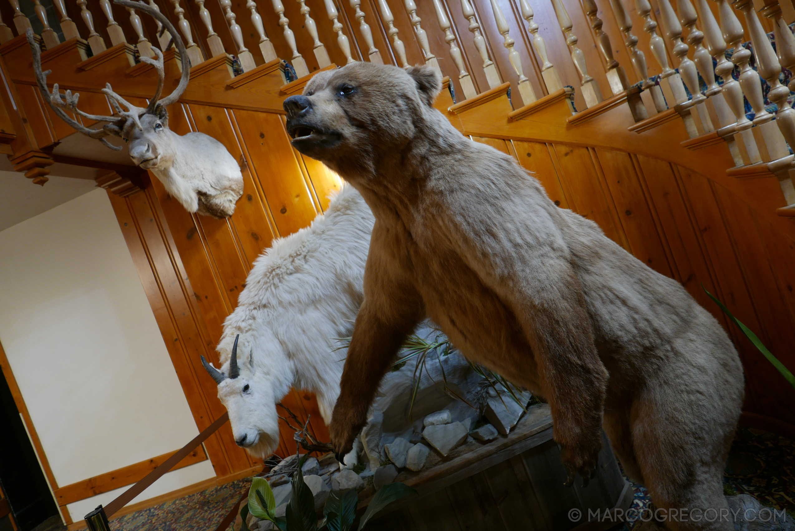 180504 USA Trip 2018 - Photo0596 of 1315