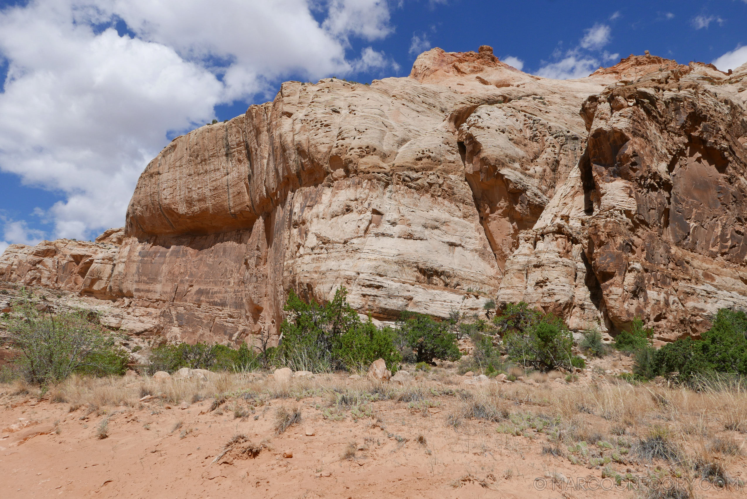 180504 USA Trip 2018 - Photo0727 of 1315