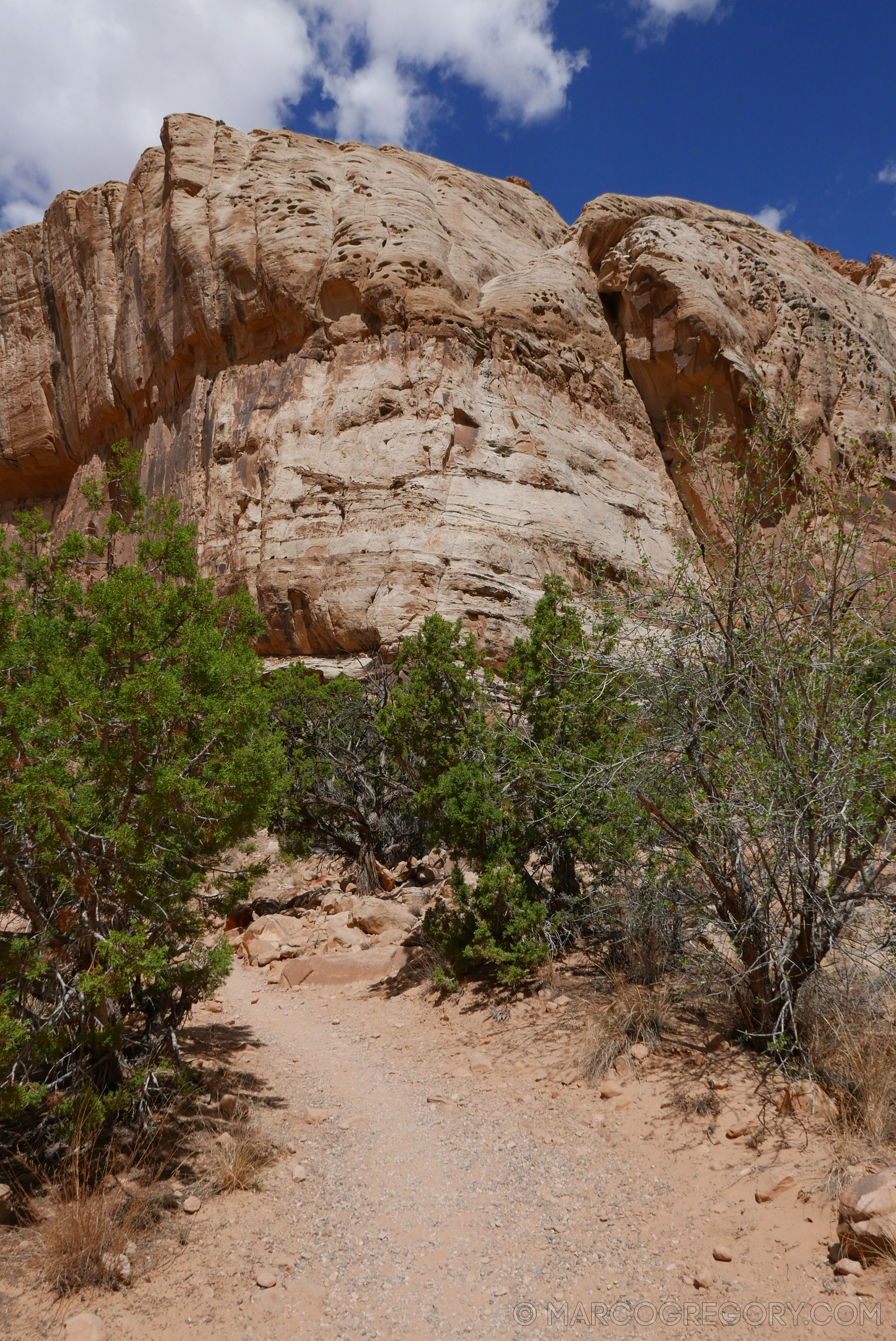 180504 USA Trip 2018 - Photo0729 of 1315