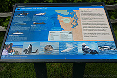 180504 USA Trip 2018 - Photo 0347